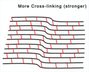 Corneal Crosslinking