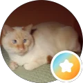 Ed A Avatar
