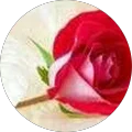 Reshma Kumar Avatar