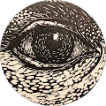Damian Puggelli Avatar